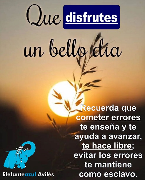 Enseñanza de Robert Kiyosaki para los emprendedores en el Sitio Web del Elefante Azul Avilés